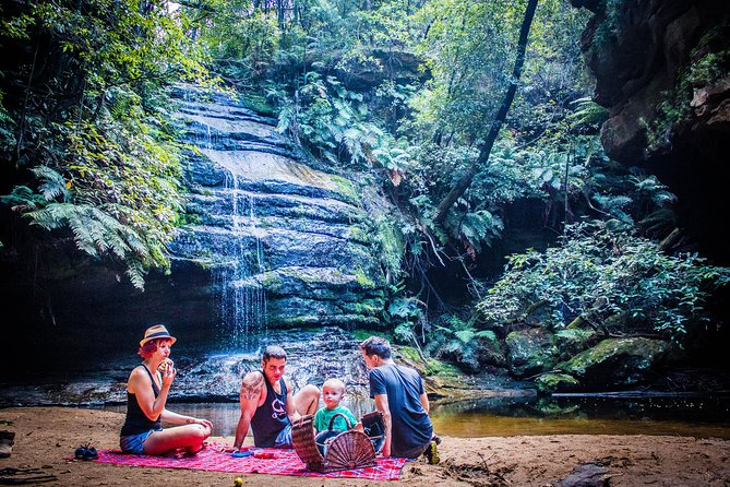 Blue Mountains Hop On Hop Off Tour - Customer Experiences and Reviews