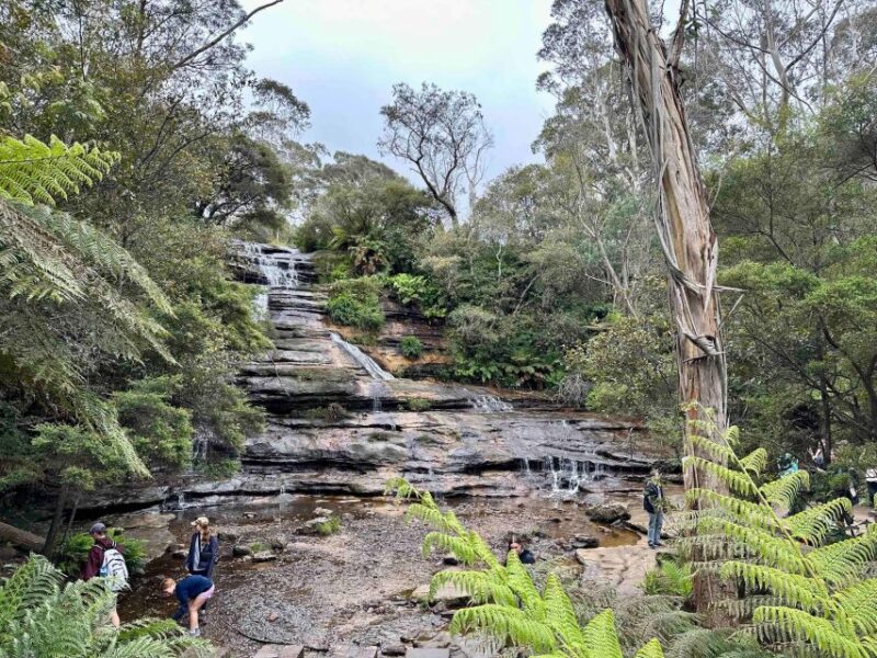 Blue Mountains: Inside a World Heritage National Park - Featherdale Wildlife Park