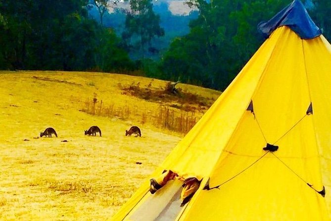 Blue Mountains Into The Wild Overnight Camping 4WD Off Road Wilderness Adventure - Location and Group Size