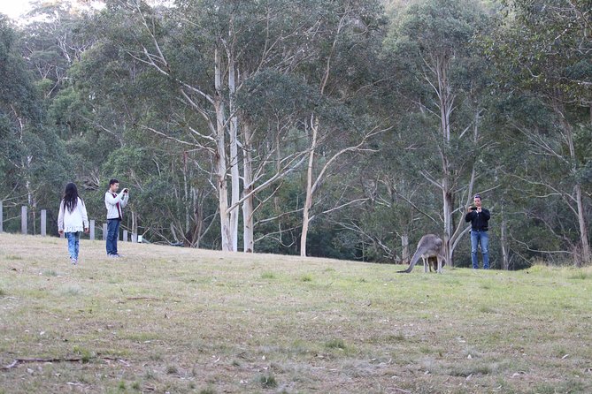 Blue Mountains Private Charter - Views of Three Sisters