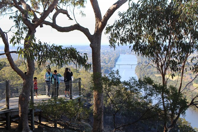Blue Mountains Private Charter - Comfortable Transportation