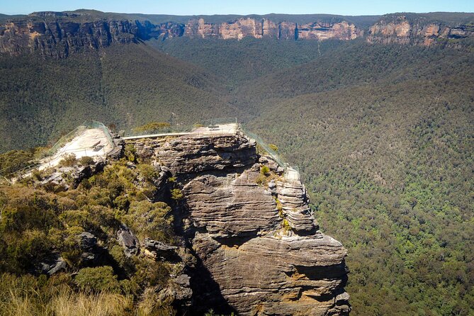 Blue Mountains Private Charter - Infant and Wheelchair Access