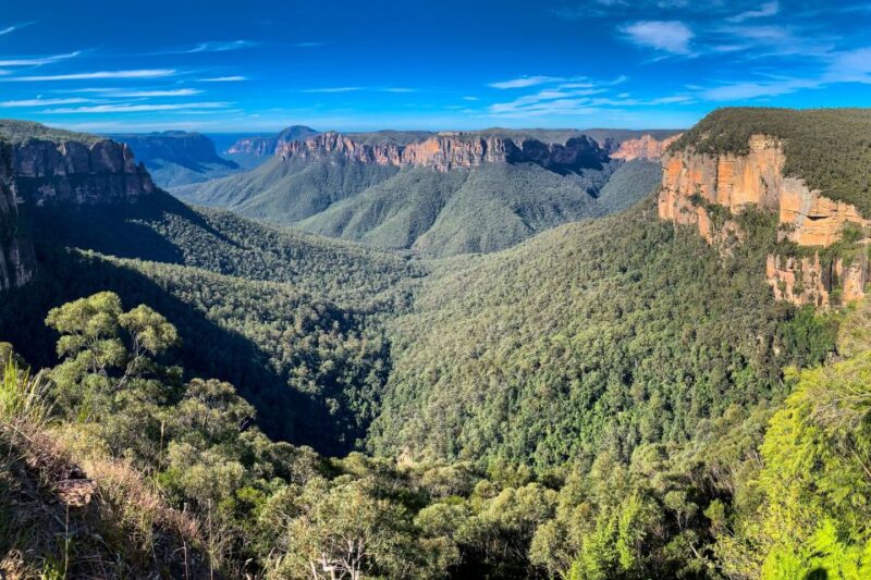 Blue Mountains Private Charter - Tour Highlights: Bushwalks and Sightseeing
