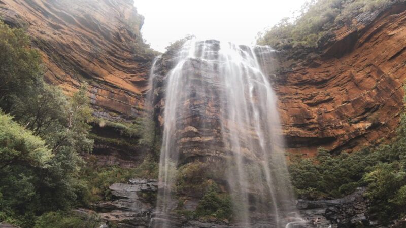 Blue Mountains Private Charter - Inclusions in the Charter Package