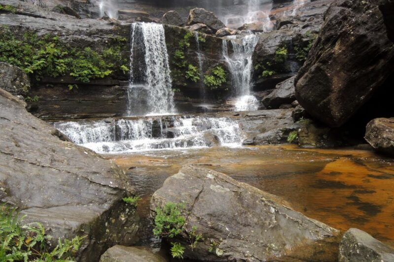 Blue Mountains Private Charter - Hotel Pick-up and Drop-off