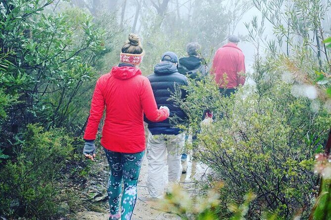 Blue Mountains Private Hiking Tour from Sydney - Who Is This Tour Best For?