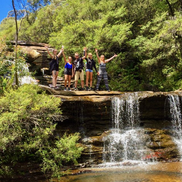 Blue Mountains: Private Scenic Tour With Optional Stops - Wildlife Encounters