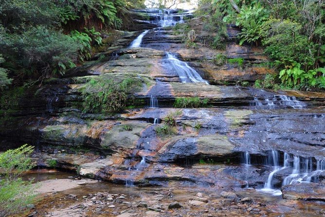 Blue Mountains Private Sightseeing Tours - Tour Details