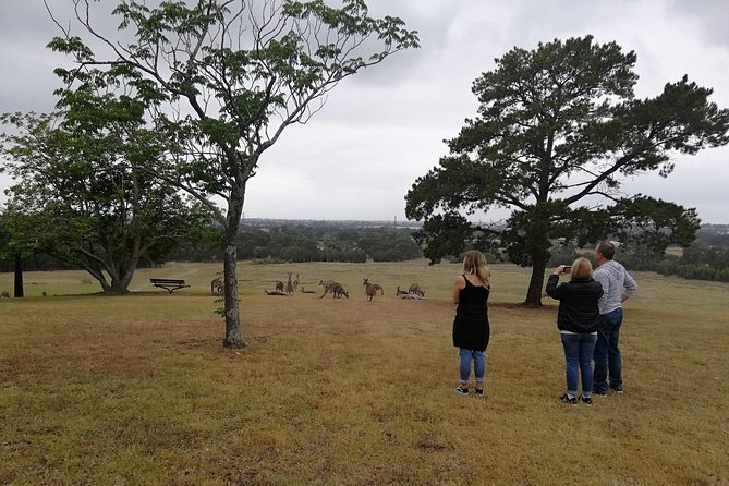 Blue Mountains Private Sightseeing Tours - Highlights of the Tour