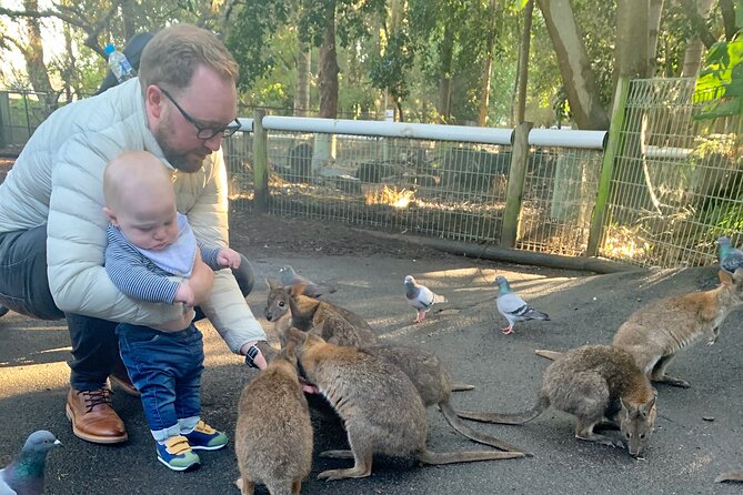Blue Mountains Private Tour From Sydney, & Featherdale Aussie Animal Park Option - Scenic Stops and Local Towns