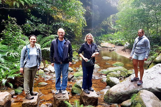 Blue Mountains Private Tour Including Wildlife Park - Optional Scenic World Rides