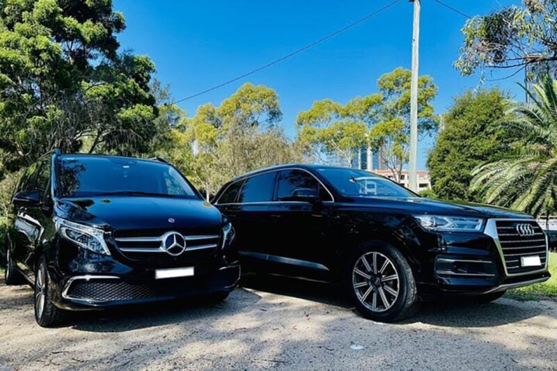 Blue Mountains: Private Tour With Wildlife and River Cruise - Scenic World Katoomba