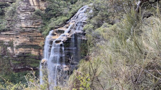 Blue Mountains Private Tour With Wildlife Park - Experiencing Featherdale Wildlife Park