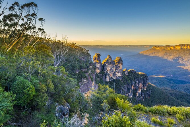 Blue Mountains Private Tours From Sydney & See Koalas & Kangaroos - Meeting and Pickup Information