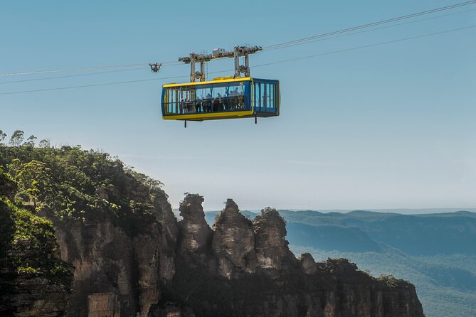 Blue Mountains Private Tours From Sydney & See Koalas & Kangaroos - Reviews and Feedback