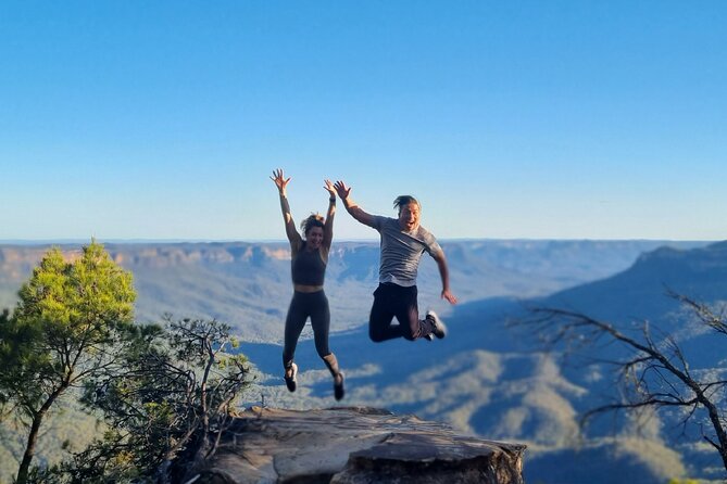 Blue Mountains Private Tours From Sydney & See Koalas & Kangaroos - Encountering Native Wildlife