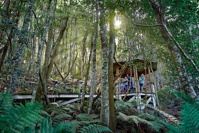 Blue Mountains Small-Group Tour From Sydney With Scenic World,Sydney Zoo & Ferry - Scenic World Experiences