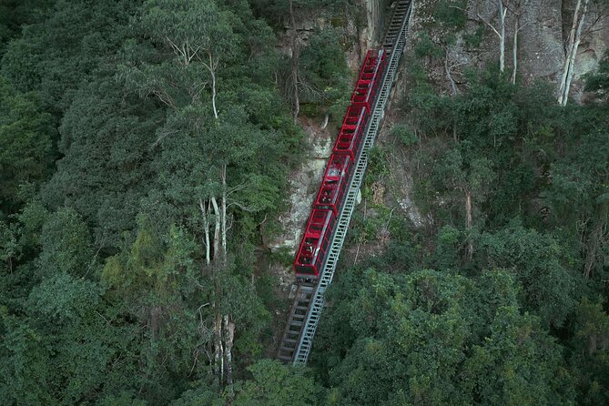 Blue Mountains Small-Group Tour From Sydney With Scenic World,Sydney Zoo & Ferry - Sydney Zoo Encounters