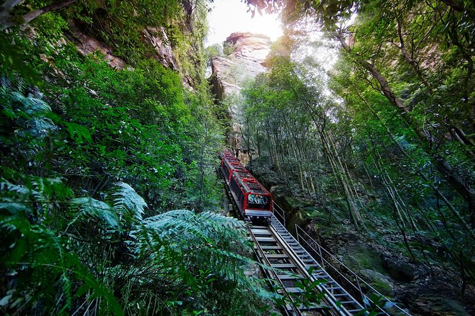 Blue Mountains Small-Group Tour From Sydney With Scenic World,Sydney Zoo & Ferry - Ferry Return to Circular Quay