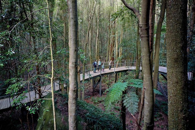 Blue Mountains Small-Group Tour From Sydney With Scenic World,Sydney Zoo & Ferry - Tour Accessibility and Suitability