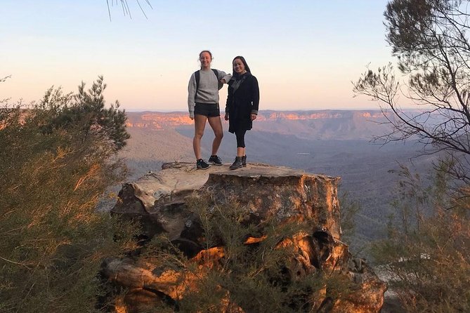 Blue Mountains Sunset Tour With Wildlife From Sydney - Australian Wildlife Spotting