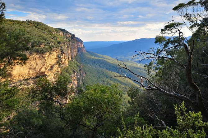 Blue Mountains Sunset Tour With Wildlife From Sydney - Important Considerations