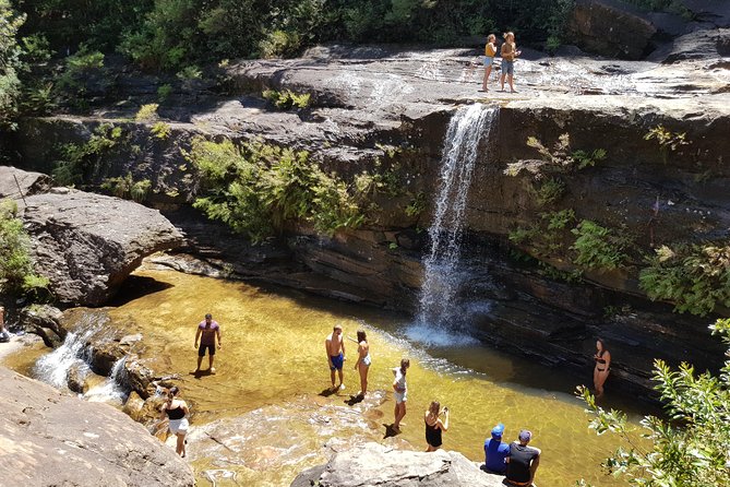 Blue Mountains Unique Small-Group Day Adventure With Picnic Lunch - Picnic Lunch and Aussie Snacks
