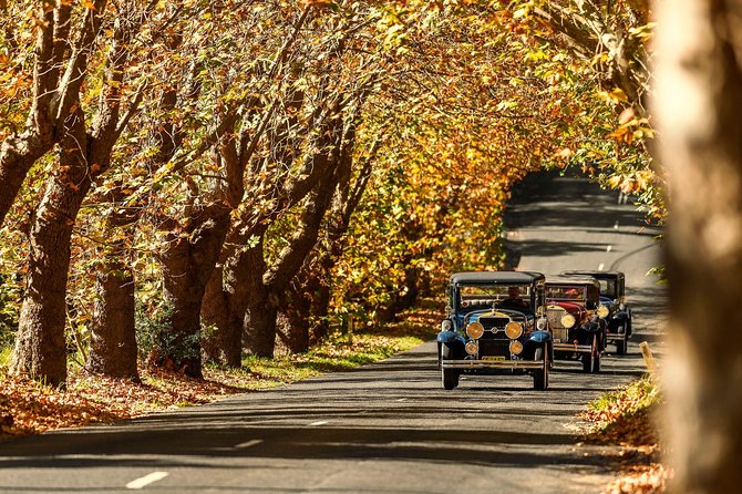 Blue Mountains Vintage Cadillac Tour With Local Guide - Flexible Start Time