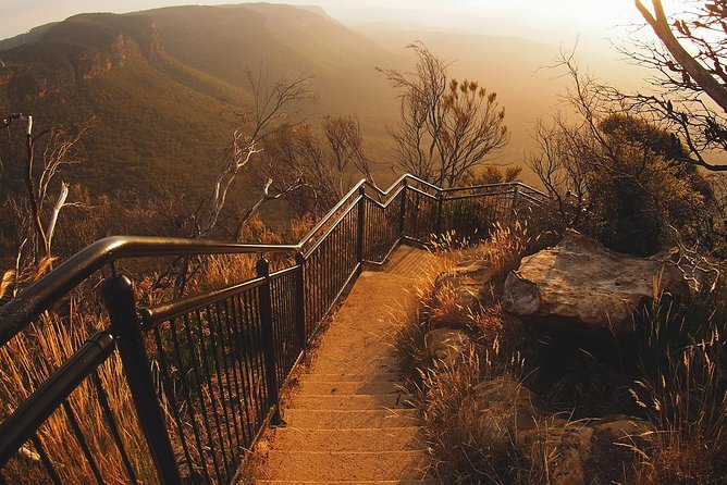 Blue Mountains Vintage Cadillac Tour With Local Guide - Reviews and Ratings
