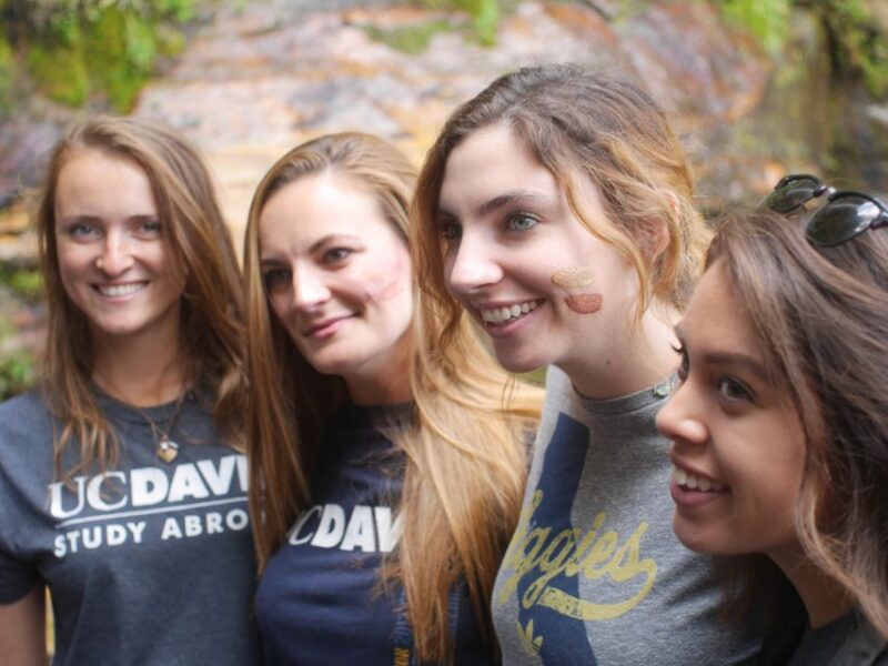 Blue Mountains: Wildlife Park & Bushwalks Day Tour - Bus Transfer and Featherdale Wildlife Park