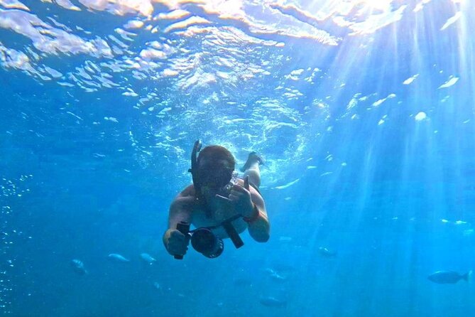 [Blue Ocean Snorkeling] Waikiki Turtle Canyon Snorkeling 6 in 1 - Traveler Reviews and Ratings