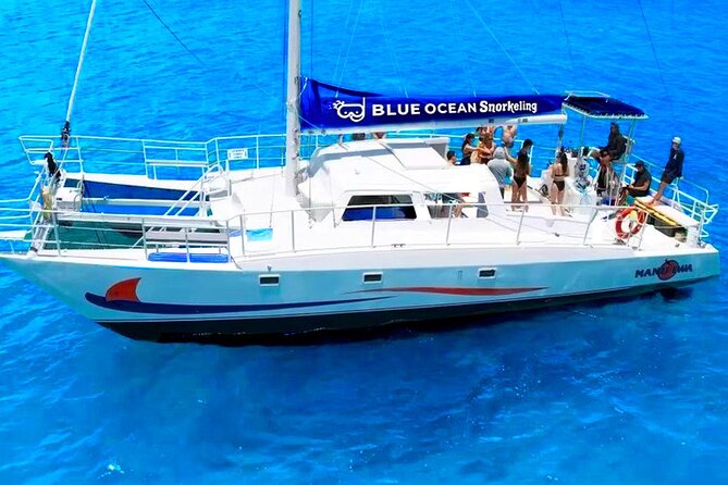 [Blue Ocean Snorkeling] Waikiki Turtle Canyon Snorkeling 6 in 1 - Wildlife Sightings and Activities