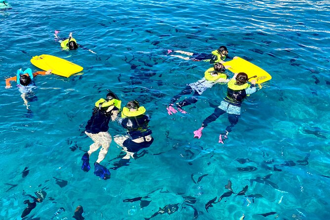 [Blue Ocean Snorkeling] Waikiki Turtle Canyon Snorkeling 6 in 1 - Explore Waikiki Turtle Canyon