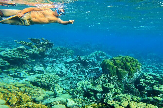 Blue Parrot Snorkel Sail with 4 course lunch or dinner in Aruba - An In-Depth Look at the Blue Parrot Snorkel Sail Experience