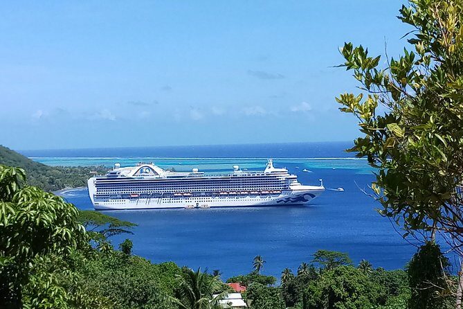 Blue Pearl Private Tour - The Full Experience: What to Expect on the Blue Pearl Private Tour