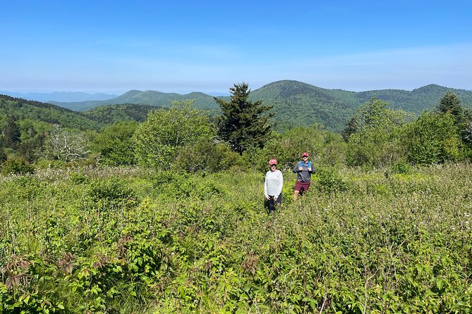 Blue Ridge Mtns Hiking Tour With the Areas Top Rated Trail Expert - Pickup and Drop-off Details