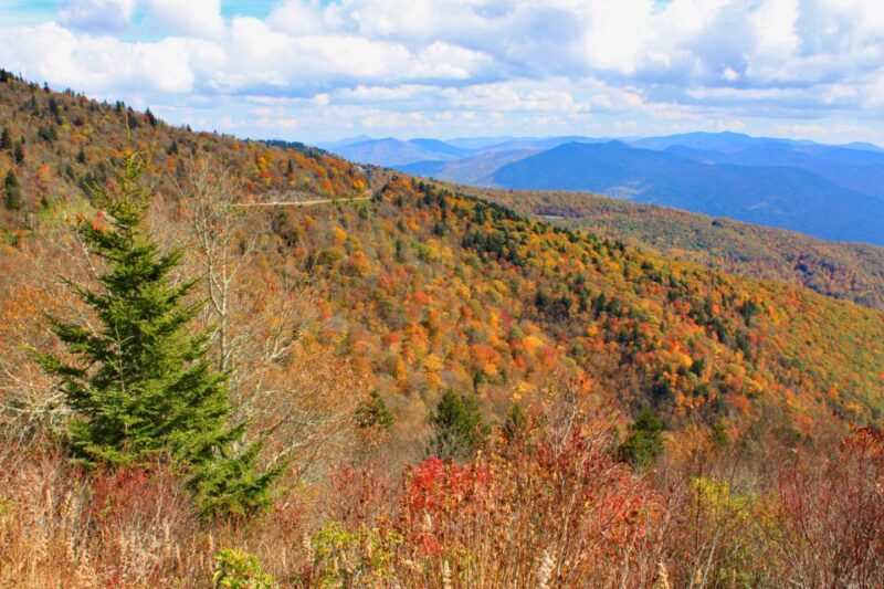 Blue Ridge Parkway: Cherokee to Asheville Driving App Tour - Important Information and Requirements