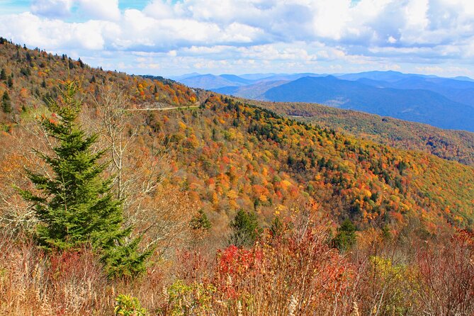 Blue Ridge Parkway (Cherokee to Asheville) Self-Guided Audio Tour - Accessibility Information