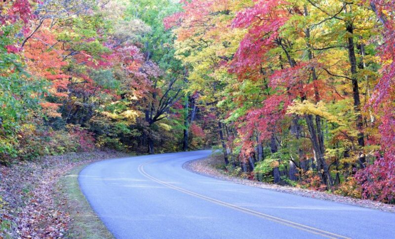 Blue Ridge Parkway Waterfalls: Hiking Tour From Asheville - Guided Experience