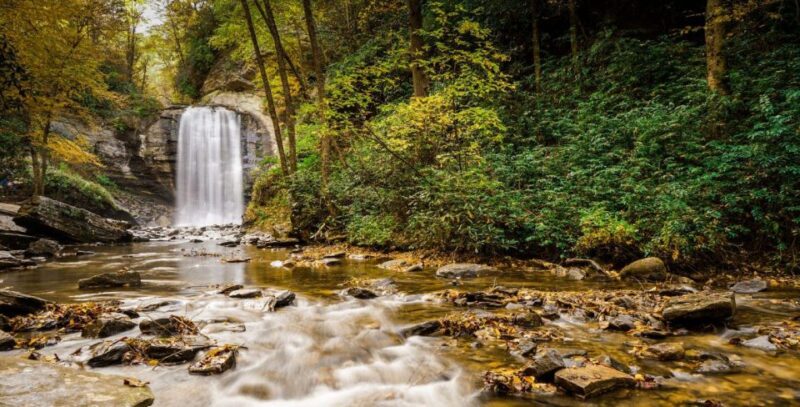 Blue Ridge Parkway Waterfalls: Hiking Tour From Asheville - Natural History and Cultural Heritage