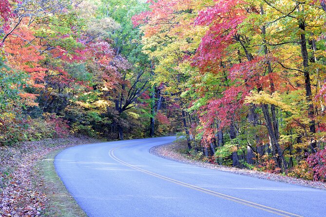 Blue Ridge Parkway Waterfalls: Hiking Tour From Asheville - Waterfall Wonders Along the Trail