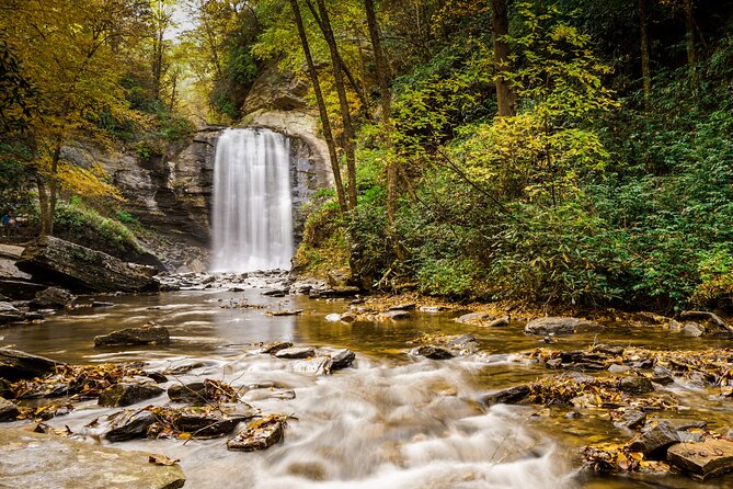 Blue Ridge Parkway Waterfalls: Hiking Tour From Asheville - Hiking the Scenic Paths