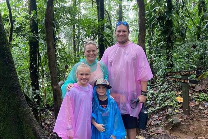Blue River Waterfall and Rainforest Full Day Tour - Exploring the Waterfall