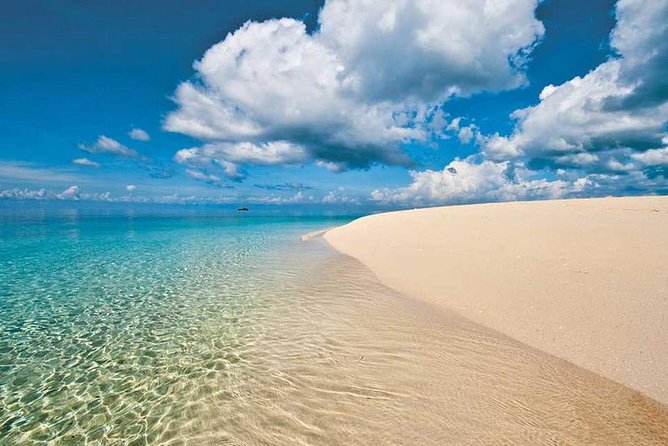 Blue Safari Tour - Snorkeling and Sandbank Adventure