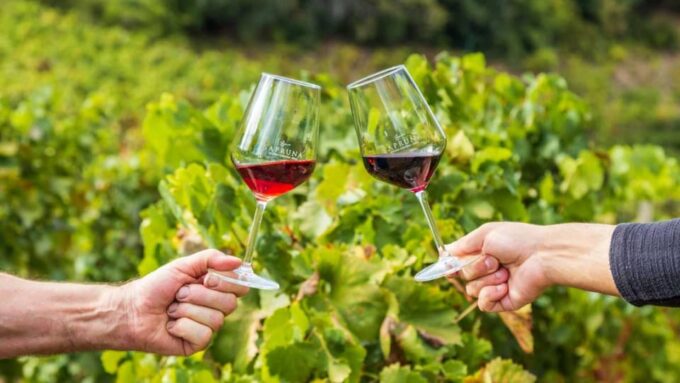 Blue Zone: Tour Among the Secrets of Sardinians Longevity - Health and Wellness