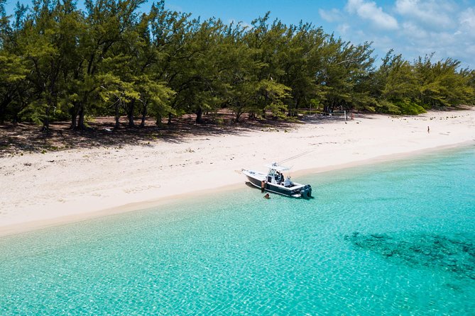 Bluefinn242 Swim With the Turtles in Nassau Bahamas - What to Expect