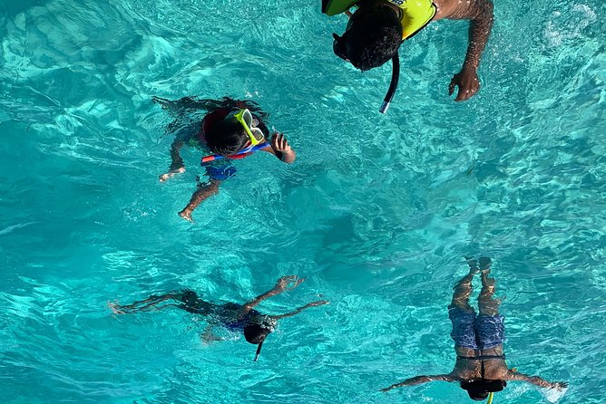 Bluefinn242 Swim With the Turtles in Nassau Bahamas - Additional Information