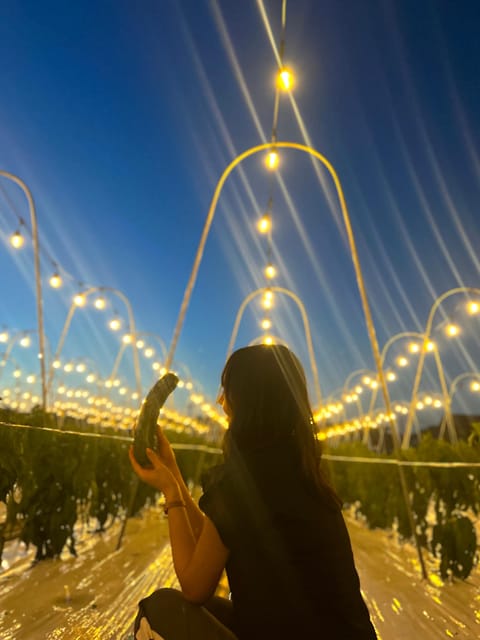 BNR NIGHT FARM - Key Points