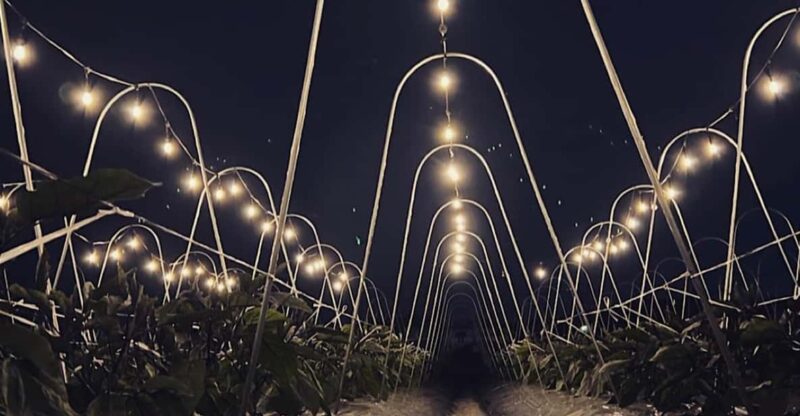 BNR NIGHT FARM - Included Activities