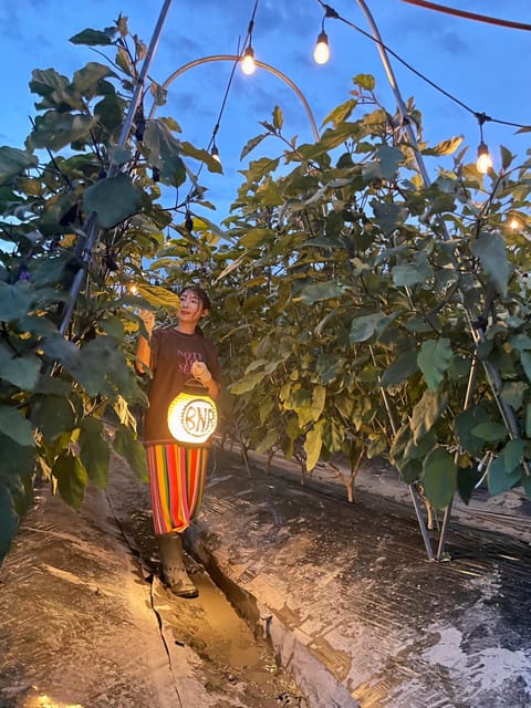 BNR NIGHT FARM - Access